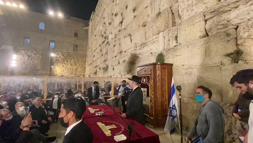 הרב לאו