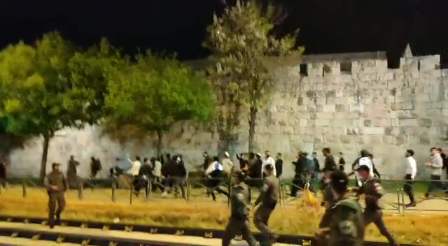 צעדת להב"ה