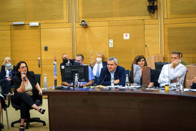 ח"כ זאב אלקין על פסקת ההתגברות