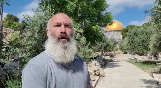 פריד