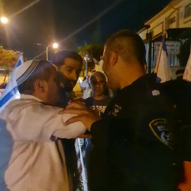 עידית סילמן מפגינים
