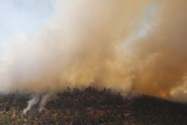 במקביל לשריפה בירושלים: מספר שריפות פרצו בשומרון