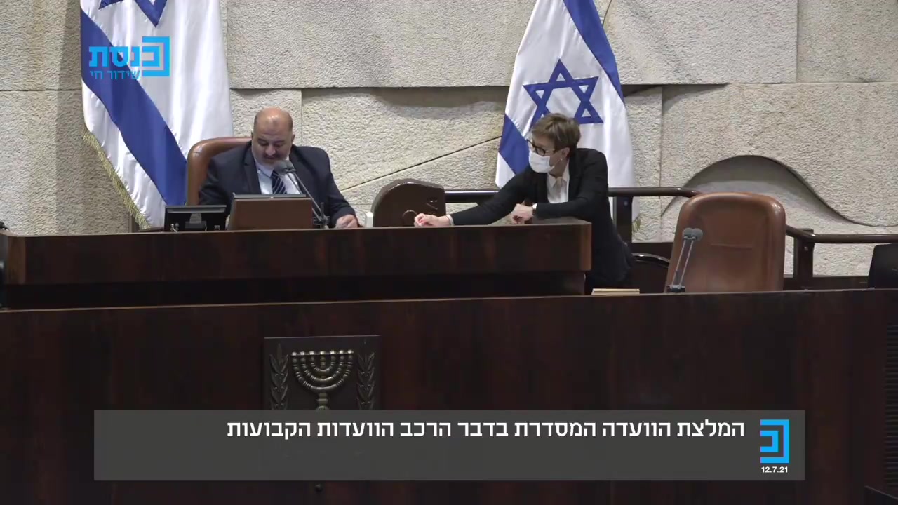 60 מול 0 הרכב ועדות הכנסת