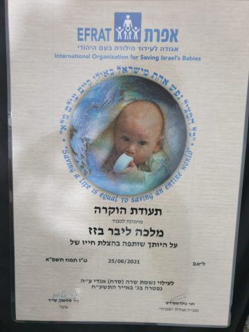 התעודה