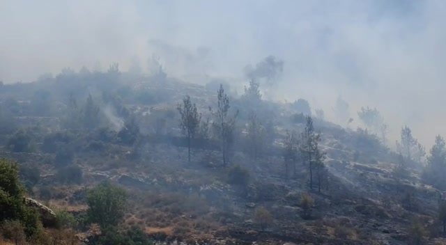 מחבל הצתה גוש עציון (1)
