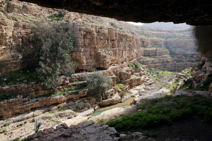 תלמידות בית ספר הוטרדו בידי ערבים בנחל פרת