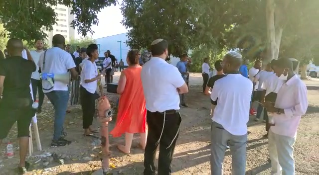דסטאו ביסט