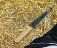הסכין של המחבלת (קרדיט: צה"ל)