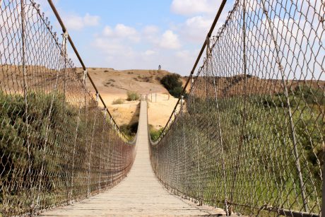 רגע לפני ראש השנה: אירועי סליחות ברחבי הארץ