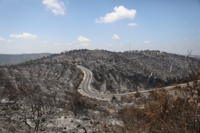 6,000 דונם נשרפו: הנזקים לטבע בהרי ירושלים | צפו