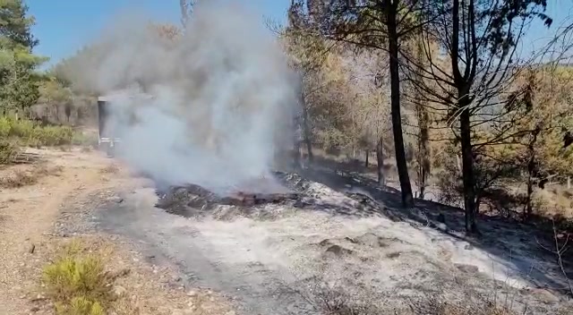 WhatsApp Video 2021-08-19 at 16.58.35