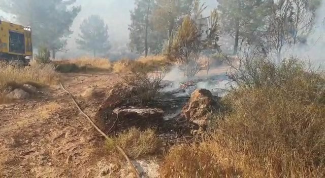 WhatsApp Video 2021-08-19 at 16.58.36 (1)