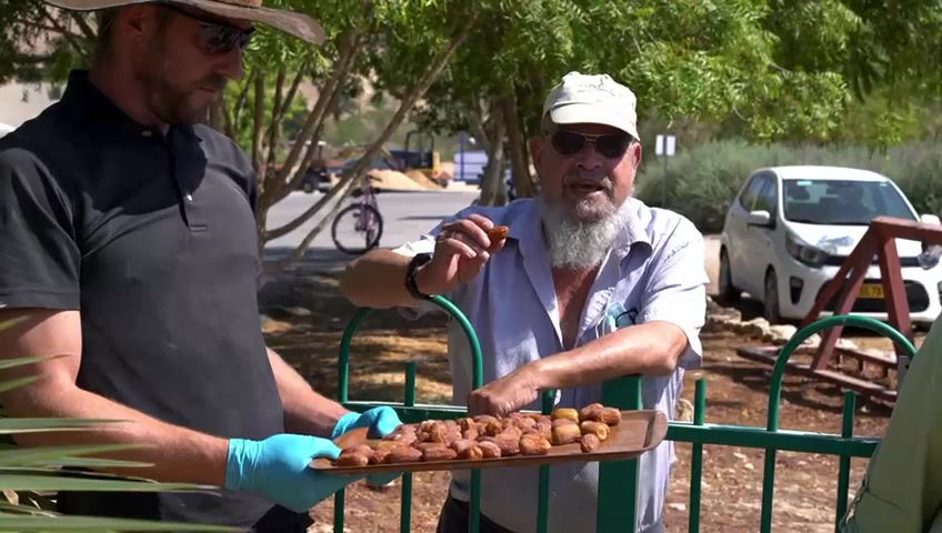 שהחיינו על תמרים