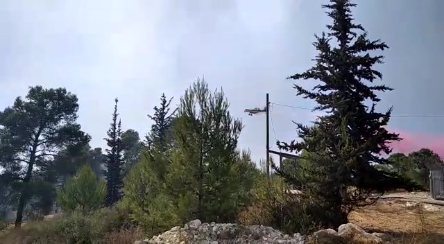 WhatsApp Video 2021-08-24 at 16.11.50