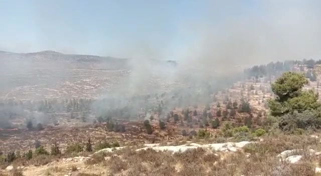 שריפה גבעות גוש עציון