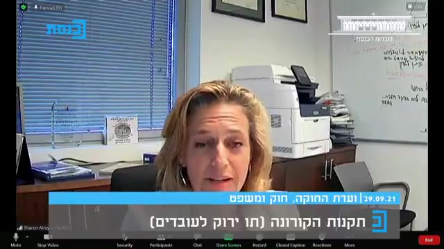 שרון אלרועי פרייס ועדת חוקה תו ירוק