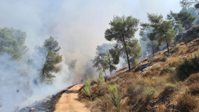 שריפה בגבעות (דוברות כבאות והצלה יו"ש)