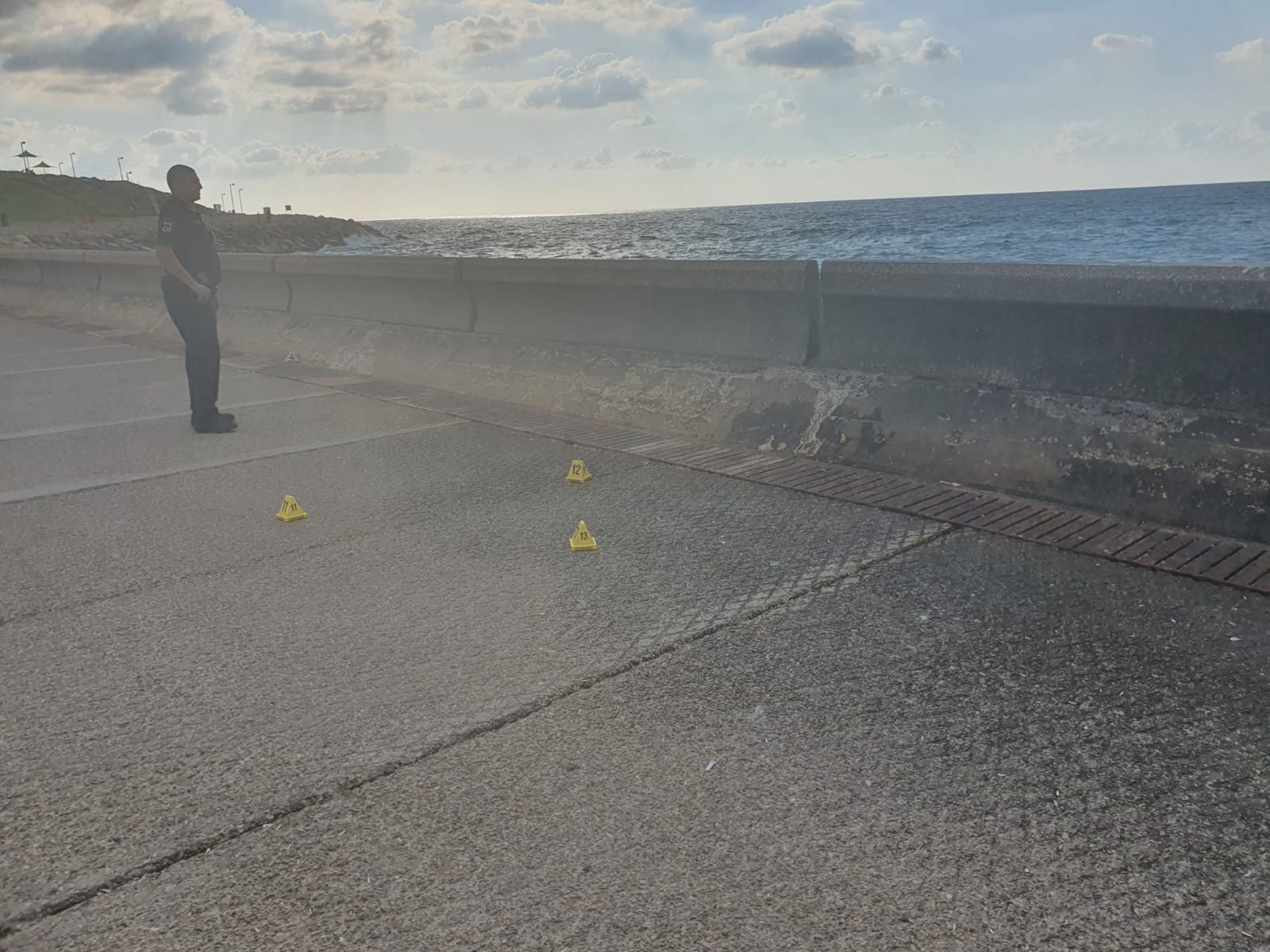 חיסול לאור יום: בן 40 נורה למוות בנמל יפו