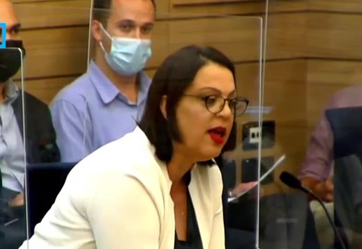 דיסטל: "50 נוסעים ערבים מטרידים נשים לעיני כל"