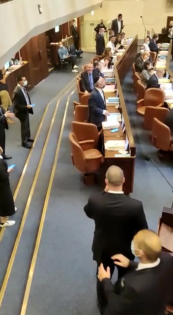 אבוטבול חתול