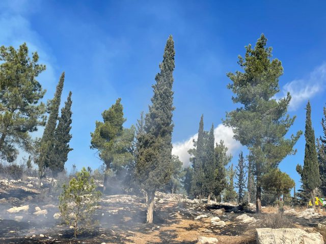 השריפה באשתאול: 40 דונם נשרפו
