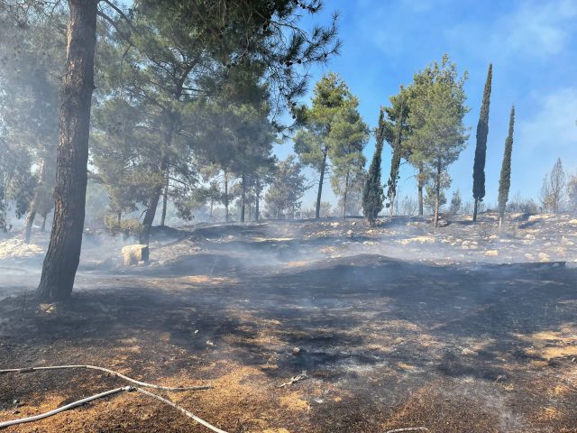 השריפה באשתאול: 40 דונם נשרפו