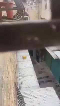 הצילו פיגוע ירי העיר העתיקה 27 א
