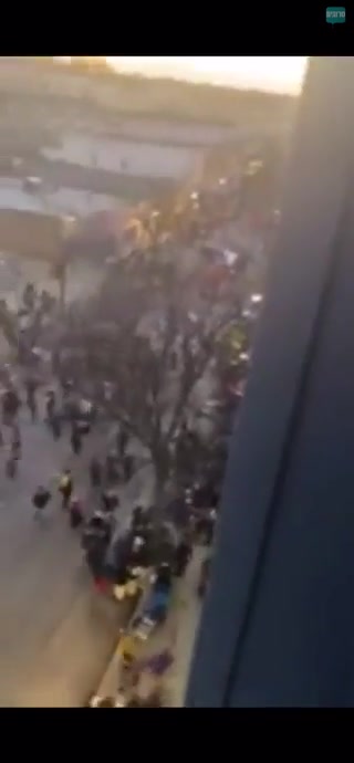 חשד במשטרה: הדורס מארה"ב "ברח מזירת פשע"