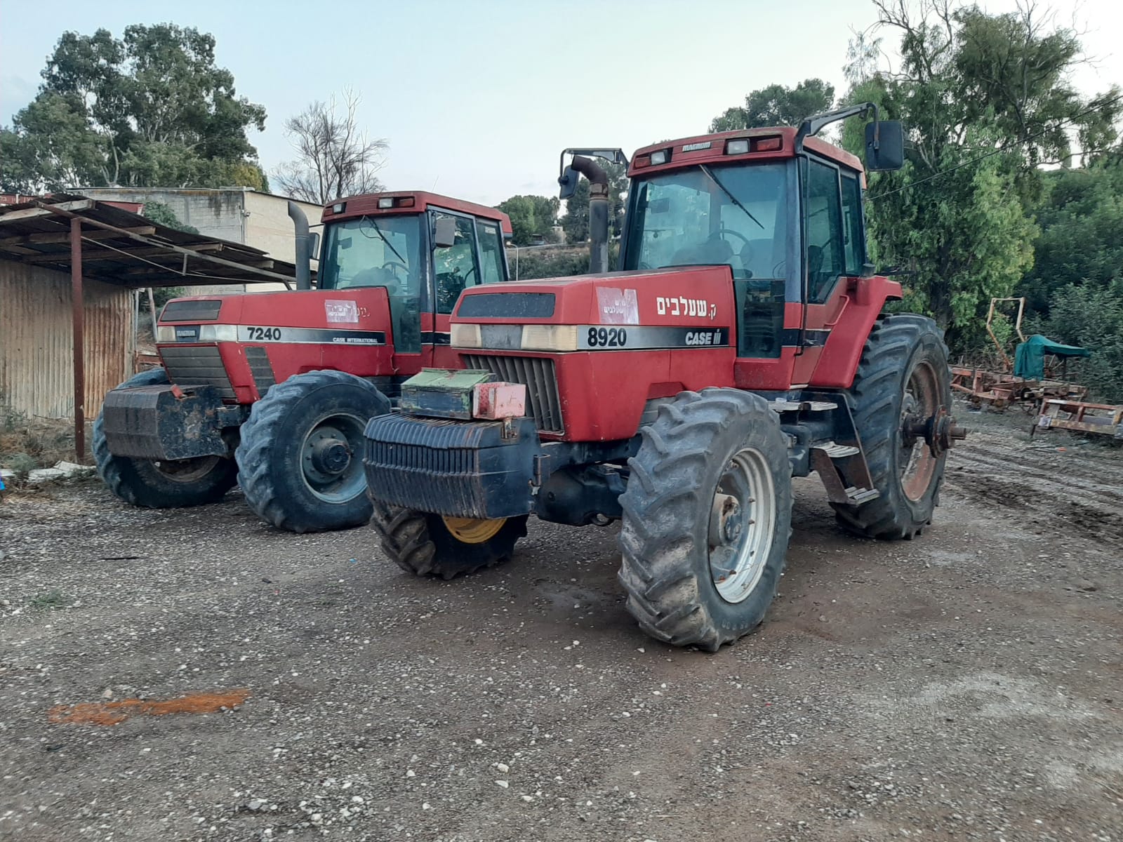 חוגגים את האור עם "פסטיבל חקלאות ושמיטה"