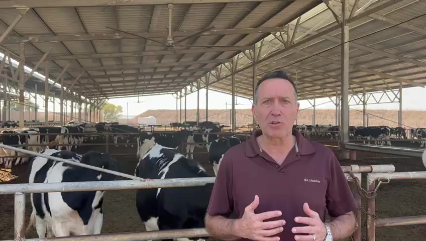 WhatsApp Video 2021-11-23 at 13.41.55