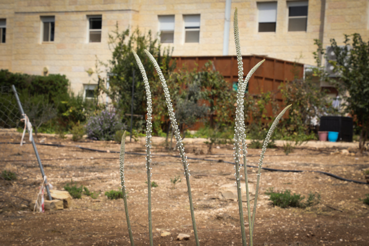 היישוב הראשון בגוש עציון חובר לסיב אופטי