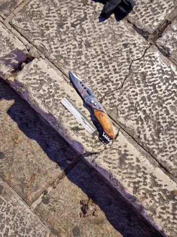 דוברות משטרת ישראל