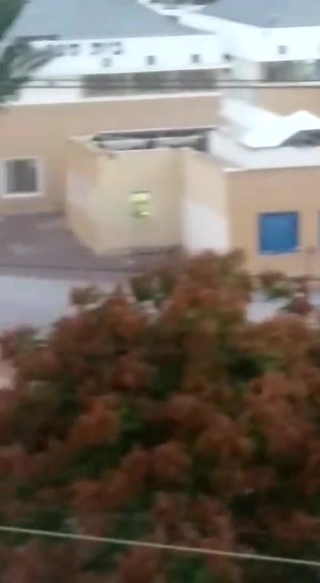 WhatsApp Video 2021-12-15 at 16.53.24