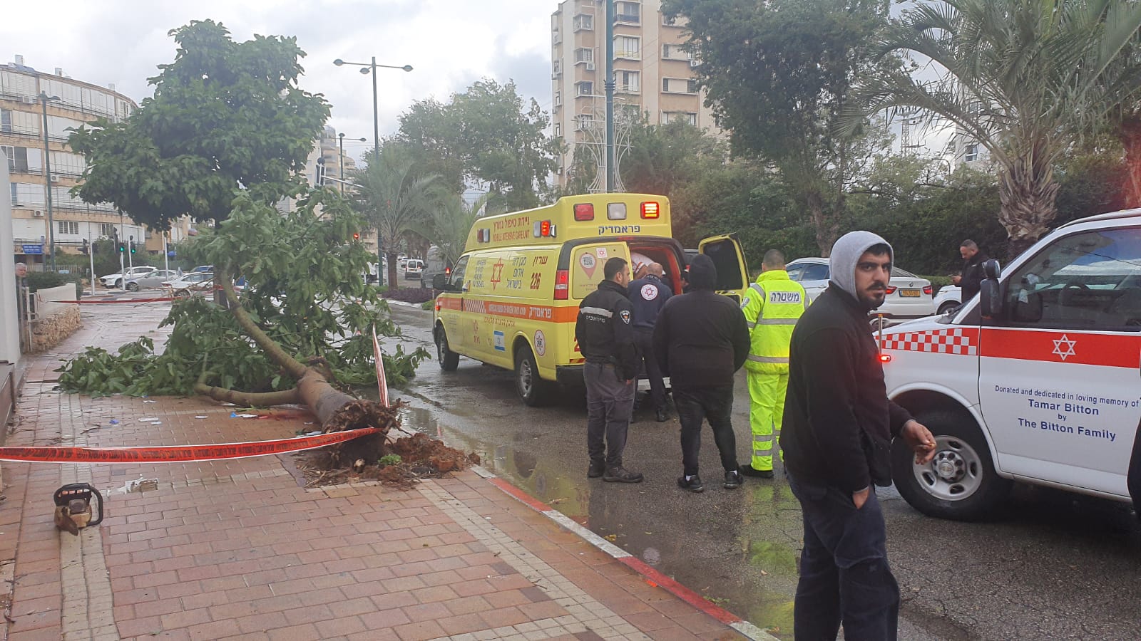 קריסת העץ בנתניה: מצבו של הפצוע נותר קשה