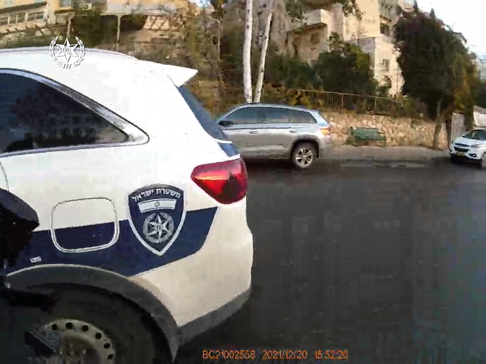 קריסת עץ חי טייב ירושלים