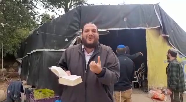 אלון מורה . חומש