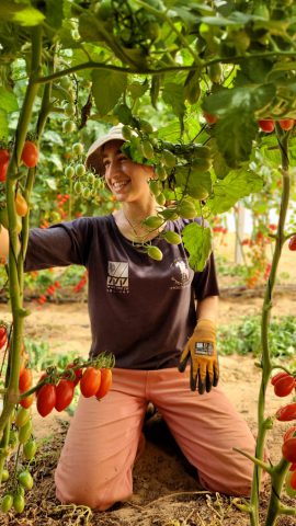 שירות בחקלאות: "לישון עם השמש ולקום כשהיא זורחת"