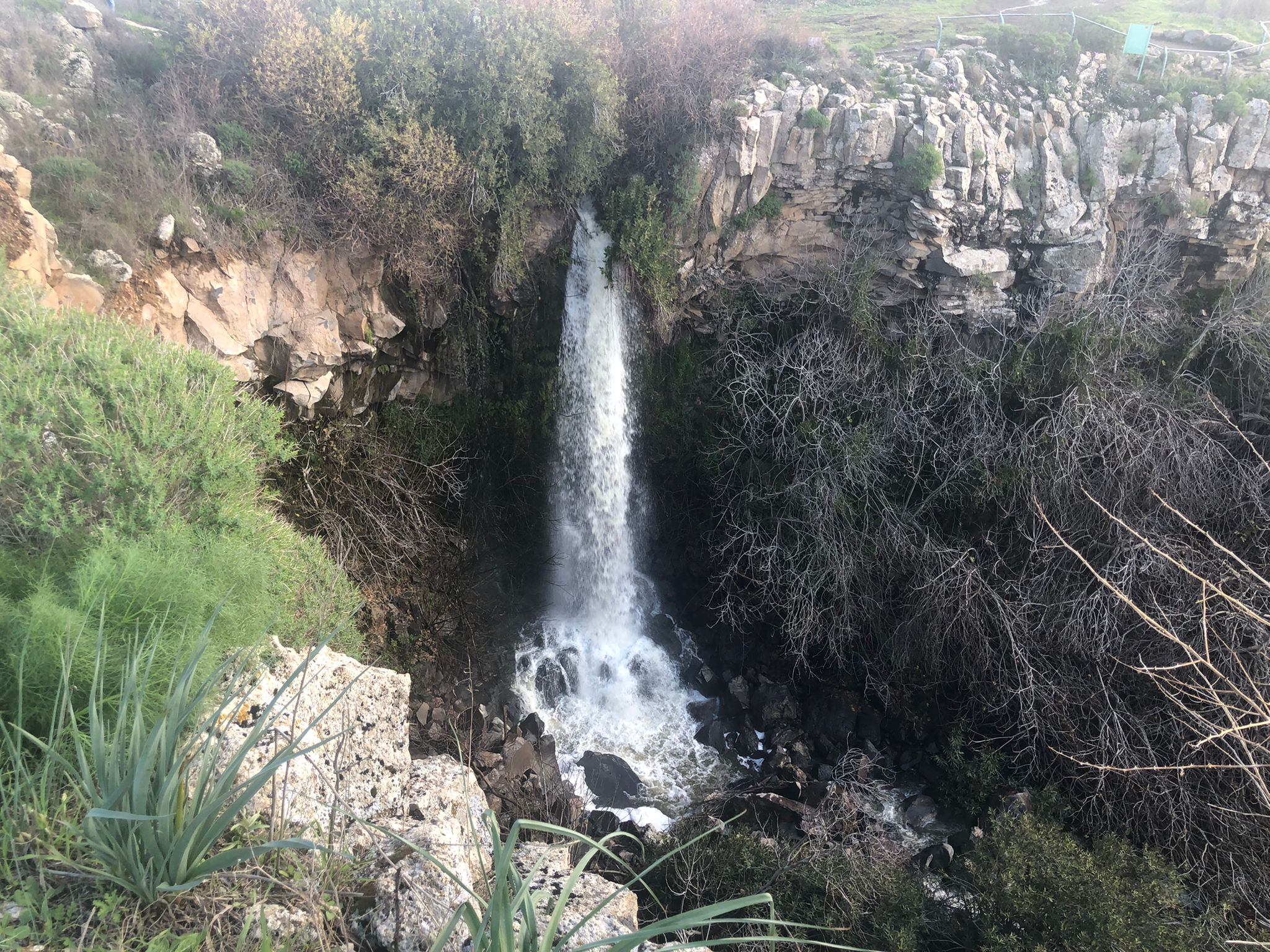 צפו: התמונות המרהיבות של השלג והזרימות בצפון
