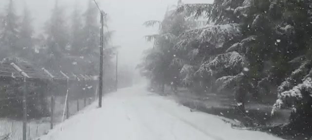 WhatsApp Video 2022-01-26 at 09.58.59