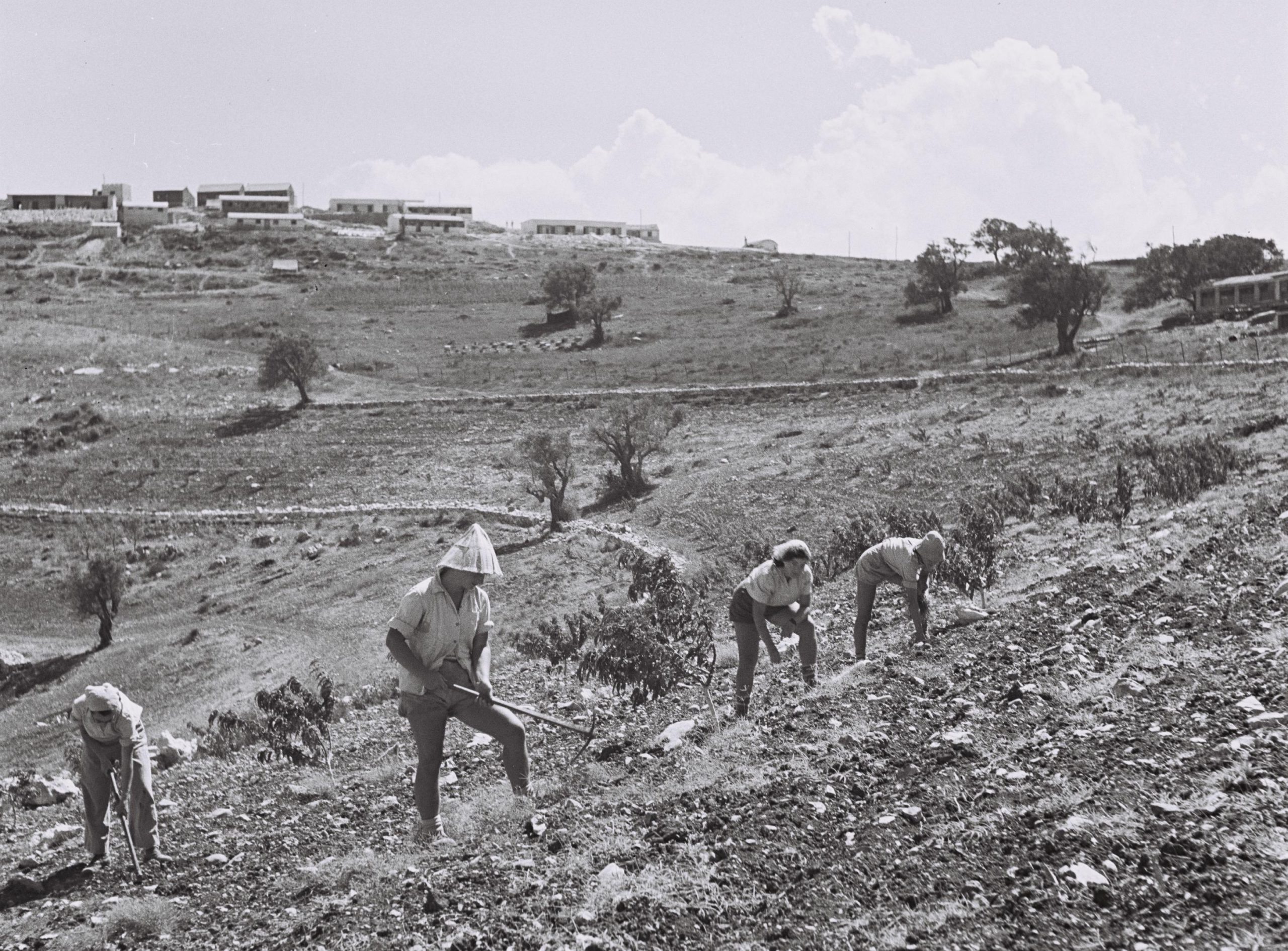 היום בהיסטוריה: חלל נצר אחרון הצעיר ביותר