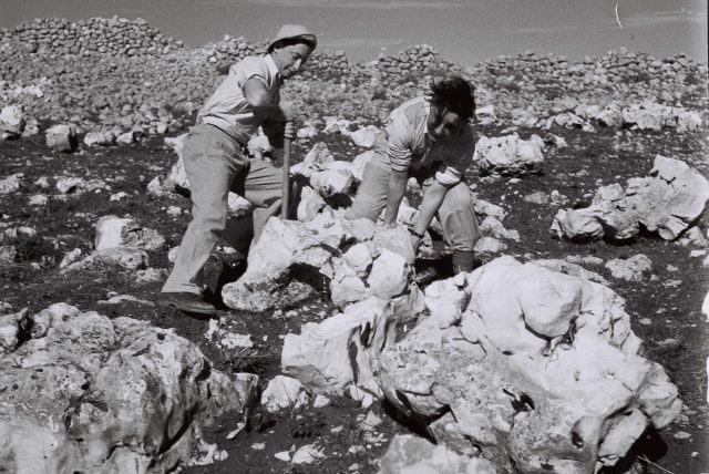 חברי קיבוץ ביריה (זלטן קלוגר, לע"ם)