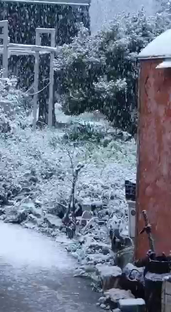 WhatsApp Video 2022-03-15 at 06.44.22