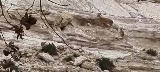 WhatsApp Video 2022-03-18 at 08.28.16