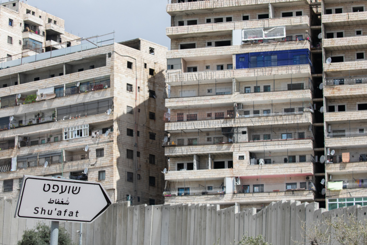 תלש דגל ישראל, העלה ל'טיקטוק' ונעצר