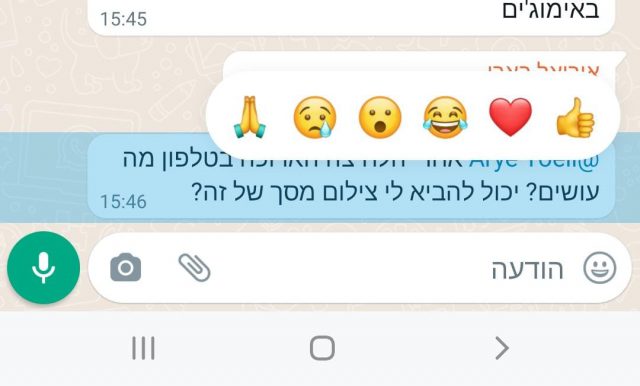 אימוג'ים בוואטסאפ של סרוגים (צילום מסך)