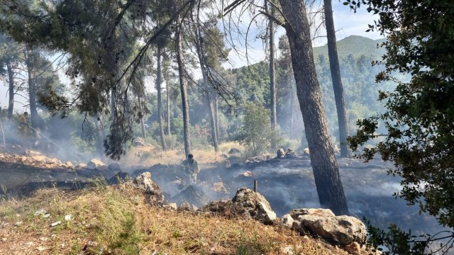 החשוד בהצתת החורש סמוך למירון: הומלס כבן 50