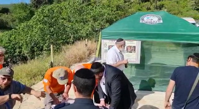 חיפושים