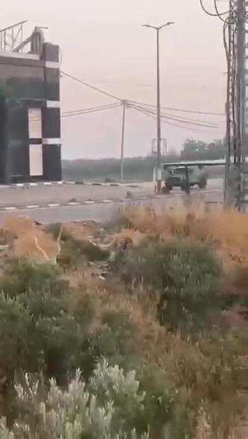 'נין