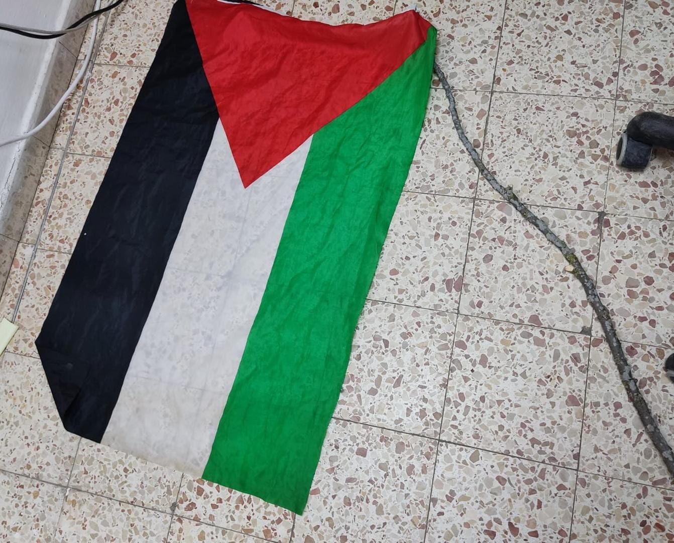 יידו אבנים כשדגלי פלסטין עליהם – ונעצרו