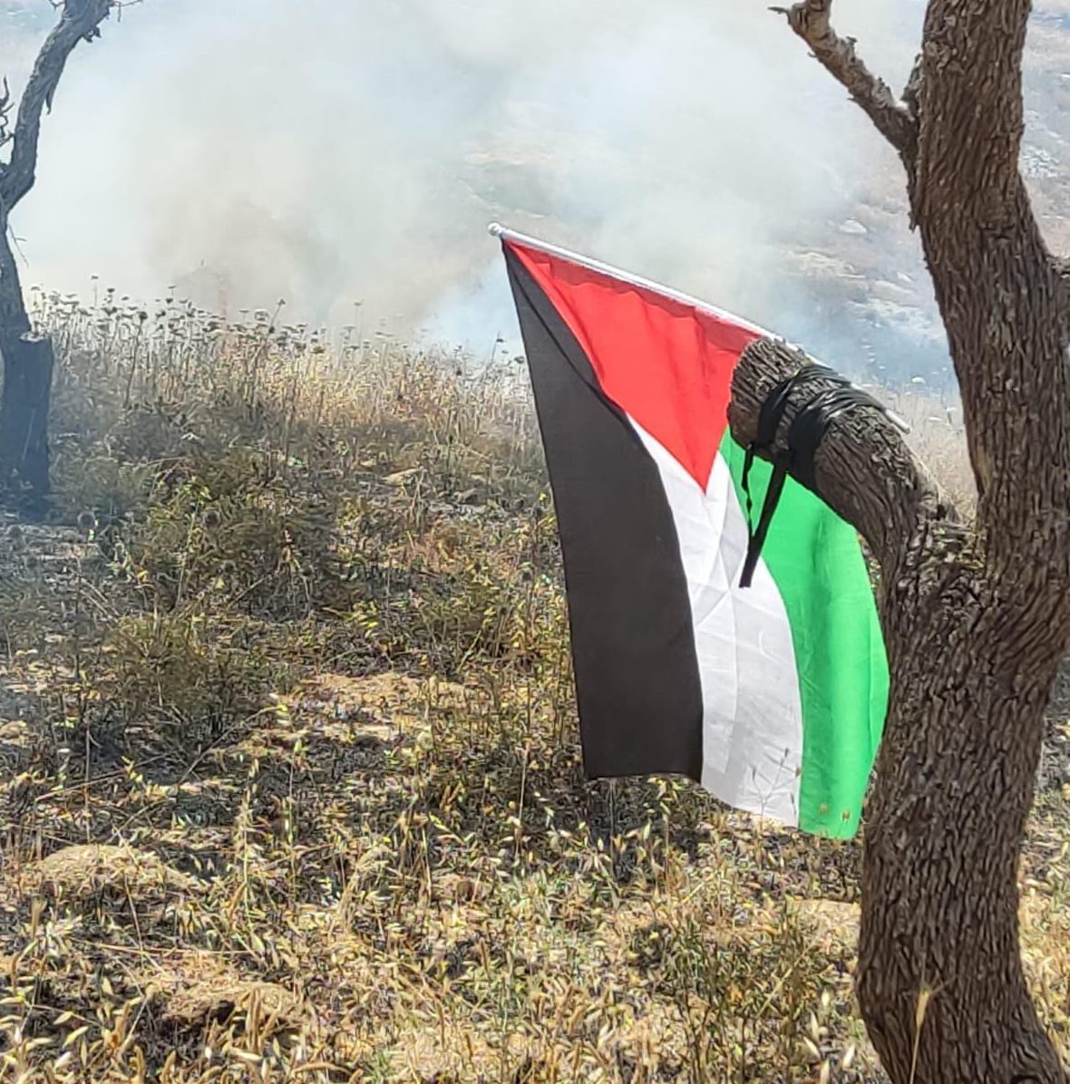 טרור ההצתות חוזר: דגל פלסטין תלוי במוקדי שריפות